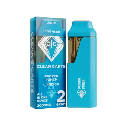 Frozen Punch disposable vape featuring an icy mixed fruit flavor profile with a cool menthol finish, designed for smooth draws and a refreshing vaping experience.